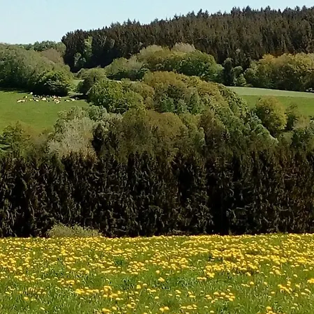 Den Lange Heiman Meisburg